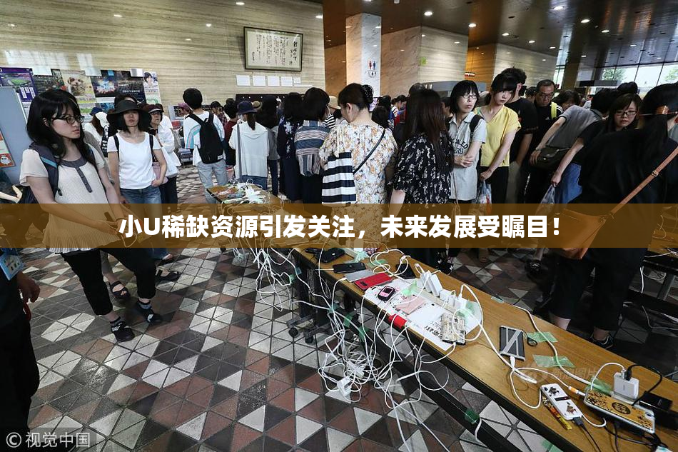 小U稀缺资源引发关注，未来发展受瞩目！