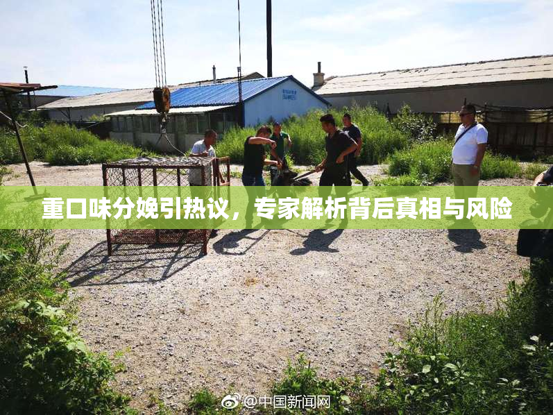 重口味分娩引热议，专家解析背后真相与风险