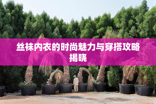 丝袜内衣的时尚魅力与穿搭攻略揭晓