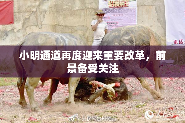 小明通道再度迎来重要改革，前景备受关注