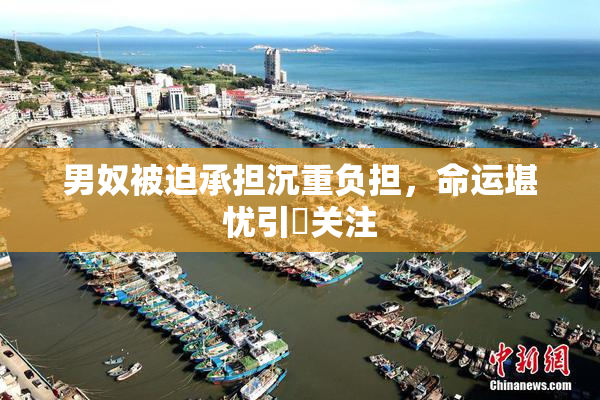男奴被迫承担沉重负担，命运堪忧引発关注