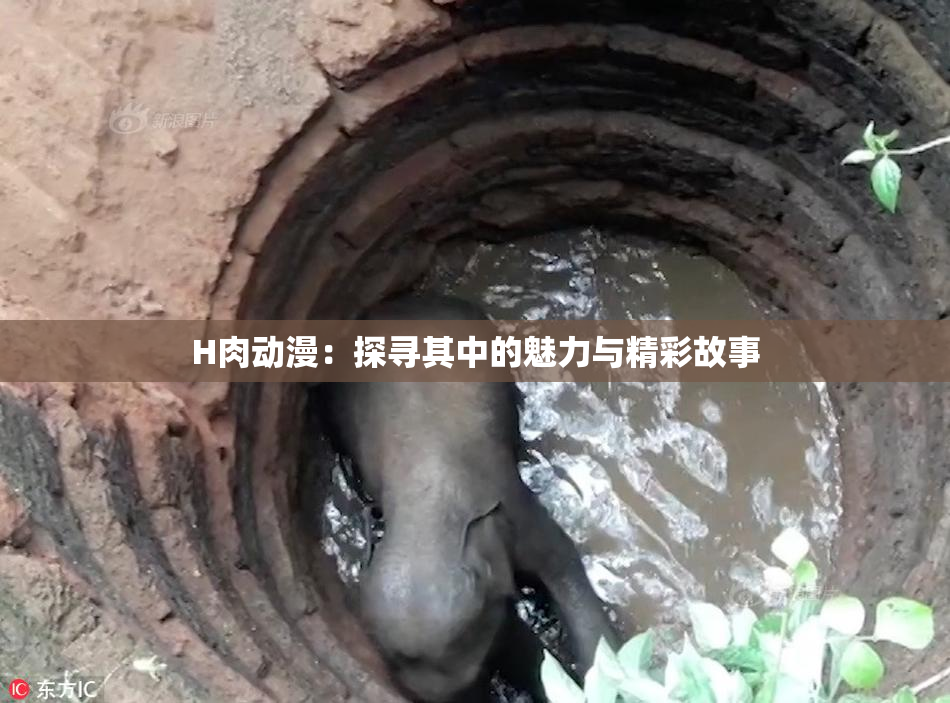 H肉动漫：探寻其中的魅力与精彩故事