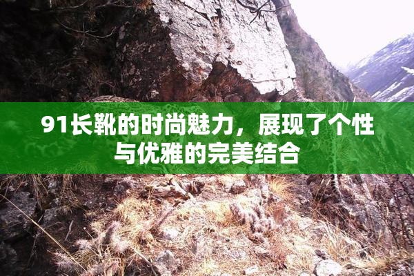 91长靴的时尚魅力，展现了个性与优雅的完美结合