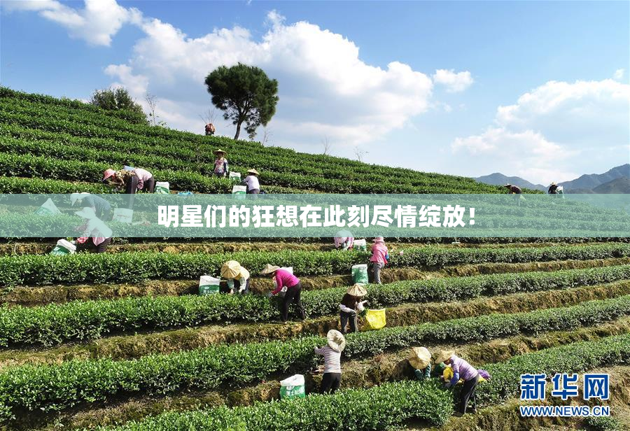 明星们的狂想在此刻尽情绽放！