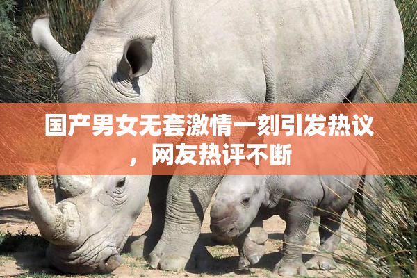 国产男女无套激情一刻引发热议，网友热评不断
