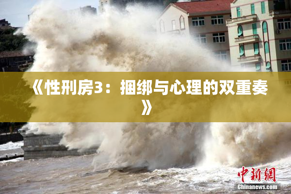 《性刑房3：捆绑与心理的双重奏》