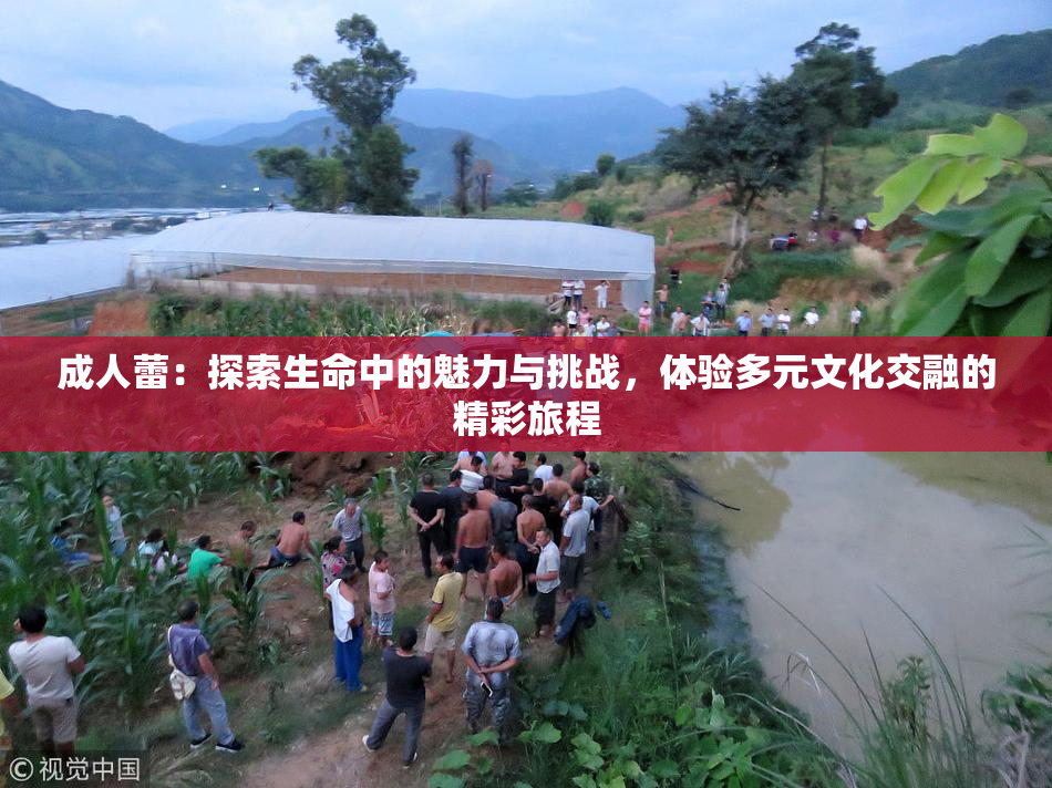 成人蕾：探索生命中的魅力与挑战，体验多元文化交融的精彩旅程
