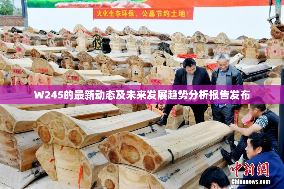 W245的最新动态及未来发展趋势分析报告发布