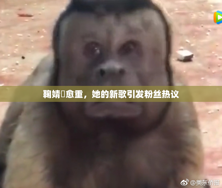 鞠婧祎愈重，她的新歌引发粉丝热议