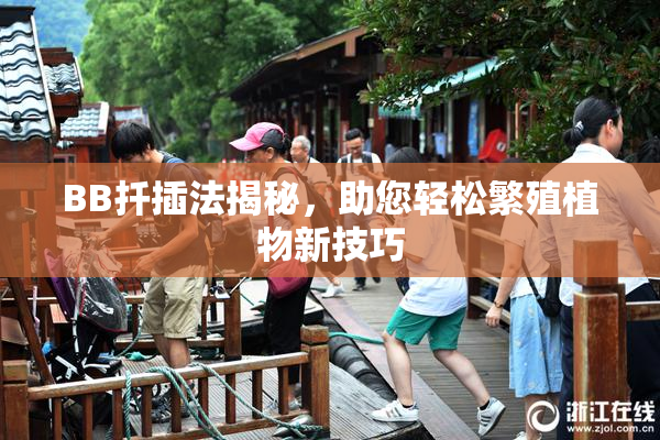 BB扦插法揭秘，助您轻松繁殖植物新技巧