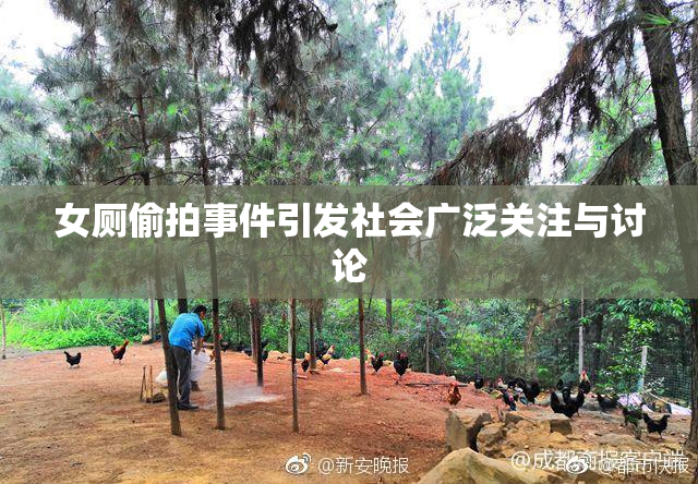 女厕偷拍事件引发社会广泛关注与讨论