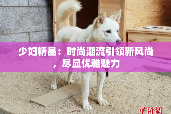 少妇精品：时尚潮流引领新风尚，尽显优雅魅力