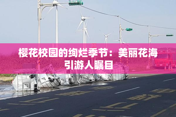 樱花校园的绚烂季节：美丽花海引游人瞩目