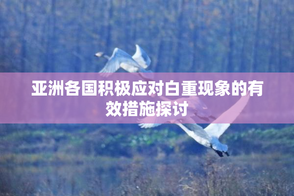 亚洲各国积极应对白重现象的有效措施探讨
