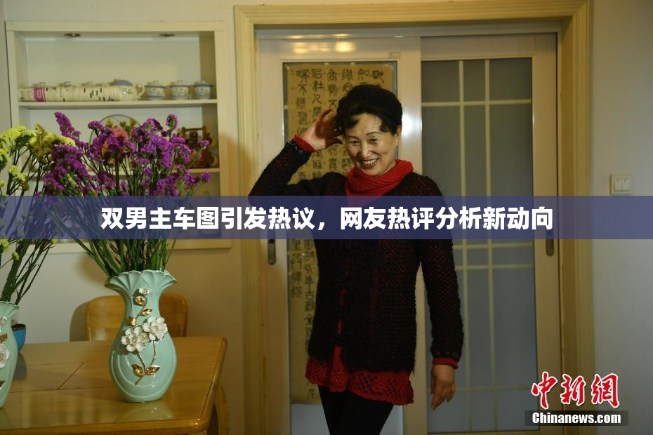 双男主车图引发热议，网友热评分析新动向