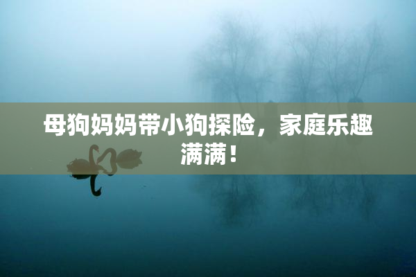 母狗妈妈带小狗探险，家庭乐趣满满！