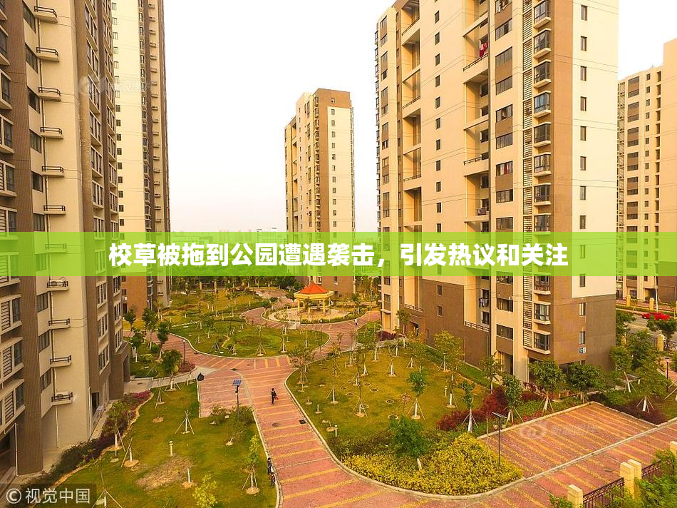 校草被拖到公园遭遇袭击，引发热议和关注