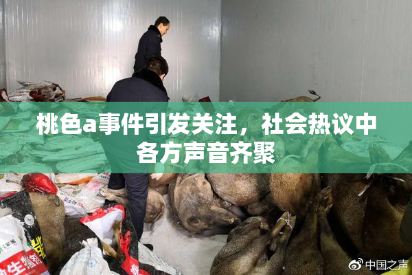 桃色a事件引发关注，社会热议中各方声音齐聚