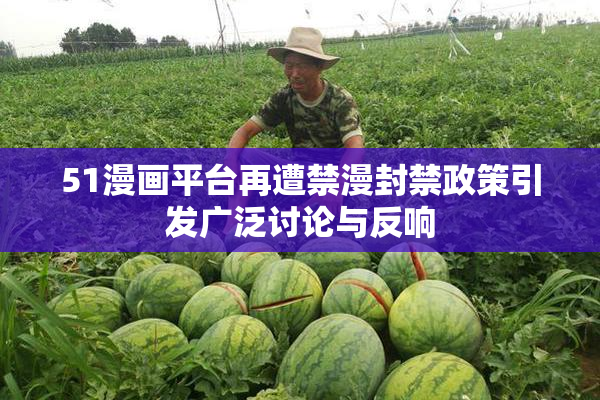 51漫画平台再遭禁漫封禁政策引发广泛讨论与反响