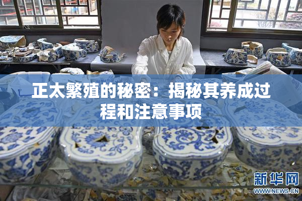 正太繁殖的秘密：揭秘其养成过程和注意事项