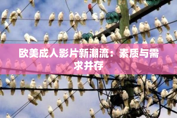 欧美成人影片新潮流：素质与需求并存