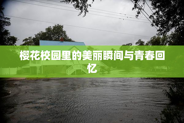 樱花校园里的美丽瞬间与青春回忆