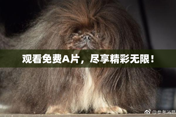 观看免费A片，尽享精彩无限！