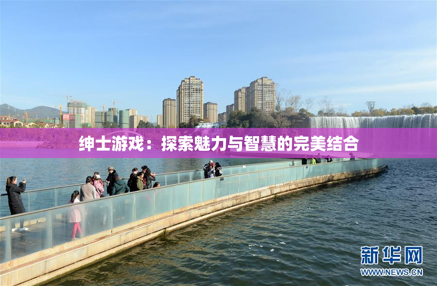 绅士游戏：探索魅力与智慧的完美结合