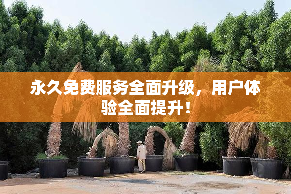 永久免费服务全面升级，用户体验全面提升！