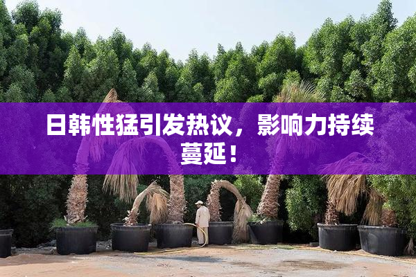 日韩性猛引发热议，影响力持续蔓延！