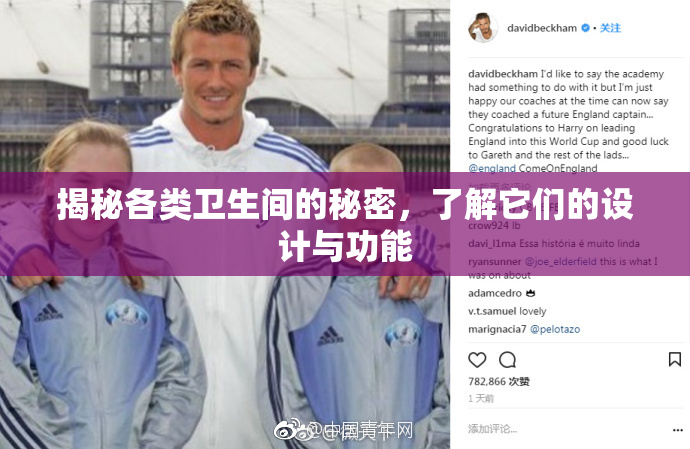 揭秘各类卫生间的秘密，了解它们的设计与功能