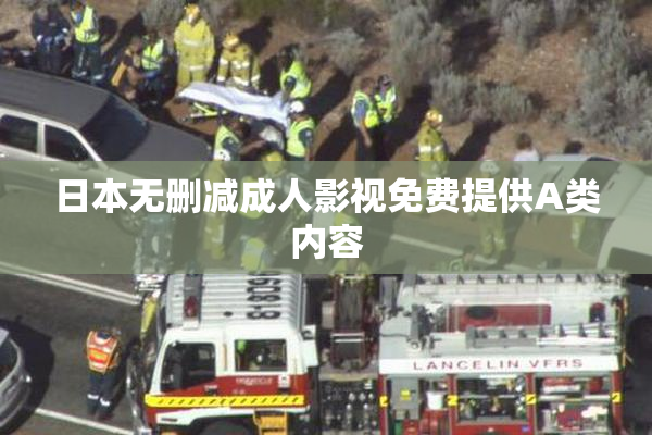 日本无删减成人影视免费提供A类内容