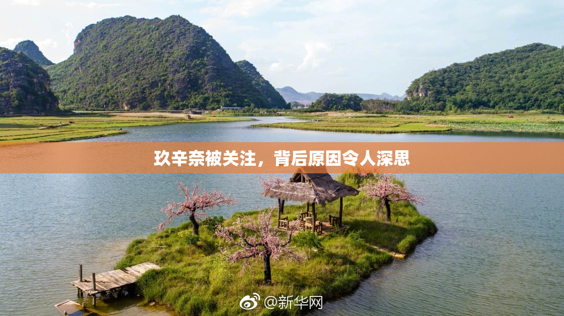 玖辛奈被关注，背后原因令人深思