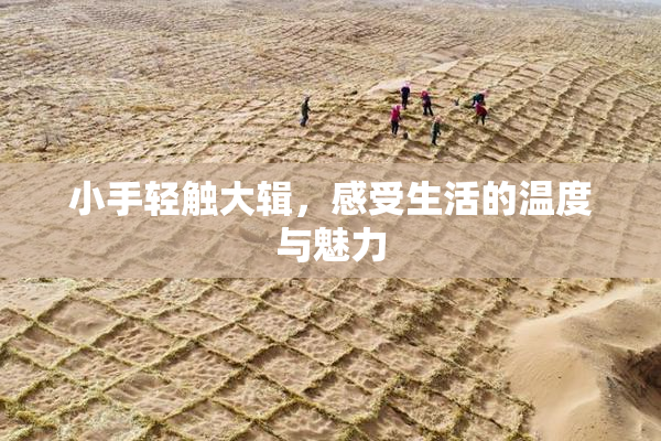 小手轻触大辑，感受生活的温度与魅力
