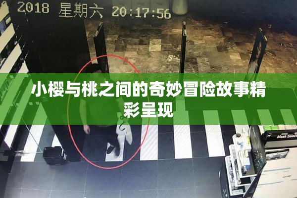 小樱与桃之间的奇妙冒险故事精彩呈现