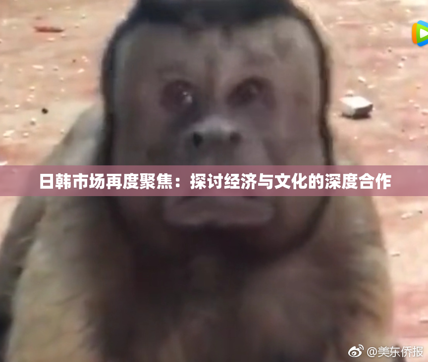 日韩市场再度聚焦：探讨经济与文化的深度合作