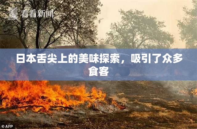 日本舌尖上的美味探索，吸引了众多食客