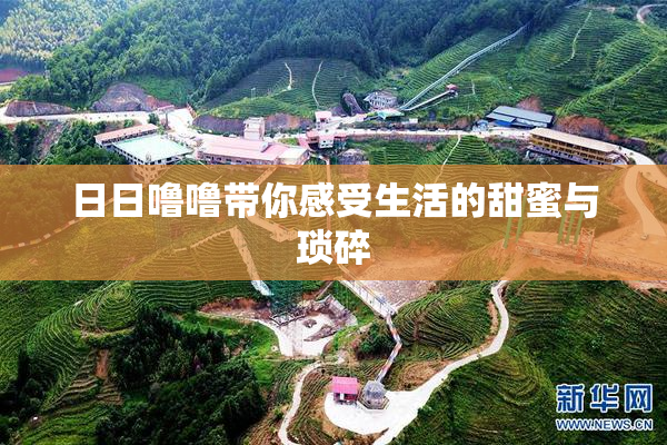 日日噜噜带你感受生活的甜蜜与琐碎