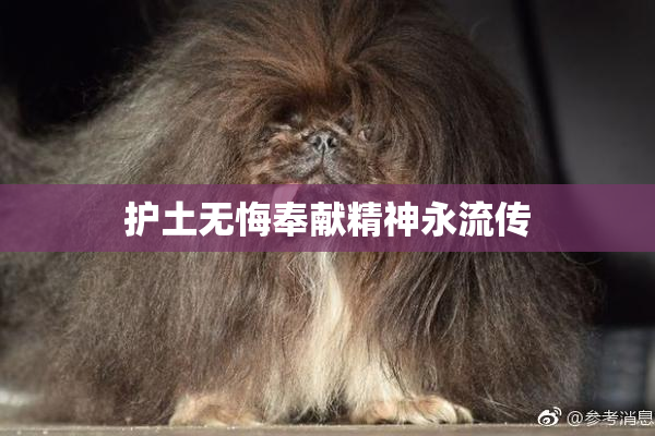护土无悔奉献精神永流传