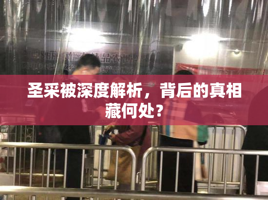 圣采被深度解析，背后的真相藏何处？