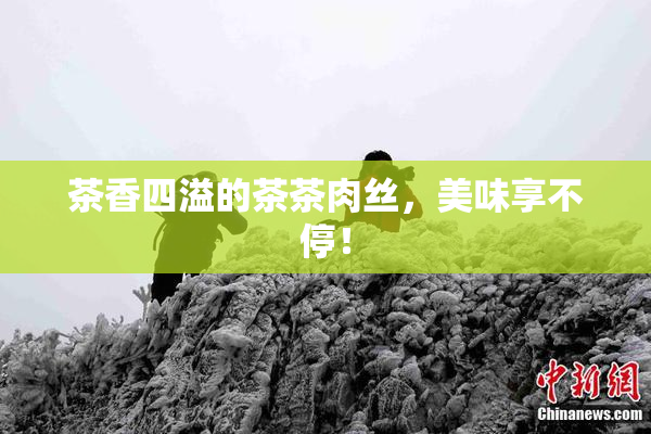 茶香四溢的茶茶肉丝，美味享不停！