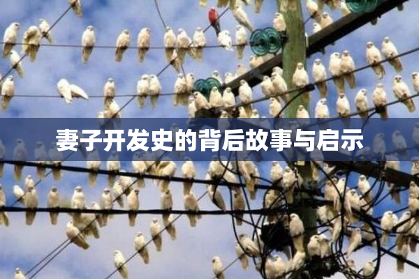 妻子开发史的背后故事与启示