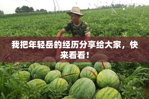 我把年轻岳的经历分享给大家，快来看看！
