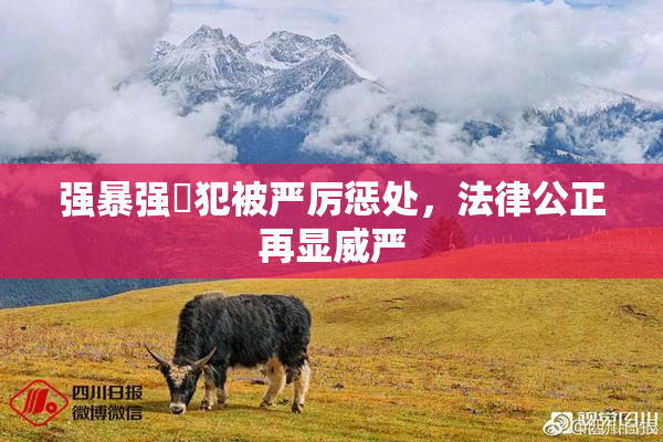 强暴强姦犯被严厉惩处，法律公正再显威严
