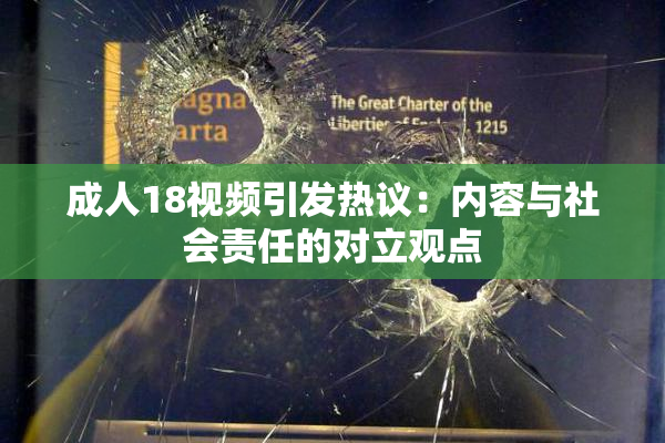 成人18视频引发热议：内容与社会责任的对立观点