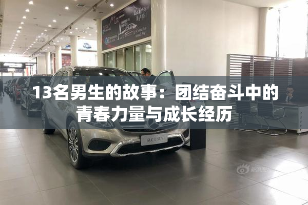 13名男生的故事：团结奋斗中的青春力量与成长经历