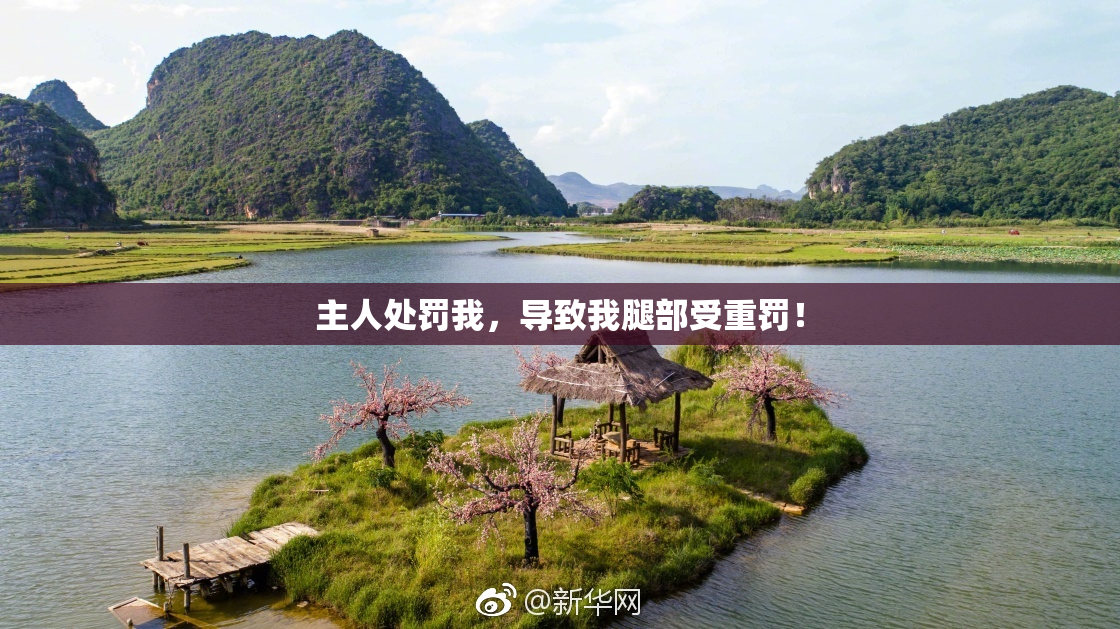 主人处罚我，导致我腿部受重罚！