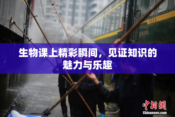 生物课上精彩瞬间，见证知识的魅力与乐趣