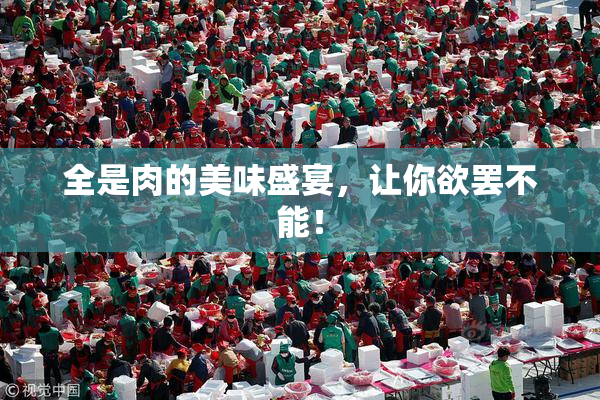 全是肉的美味盛宴，让你欲罢不能！