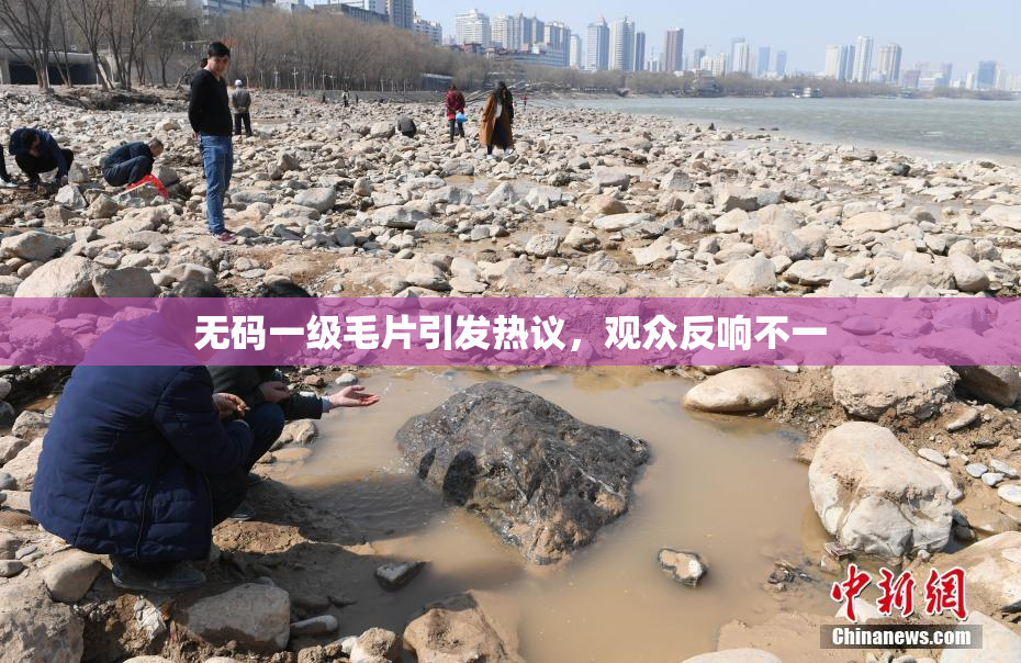 无码一级毛片引发热议，观众反响不一